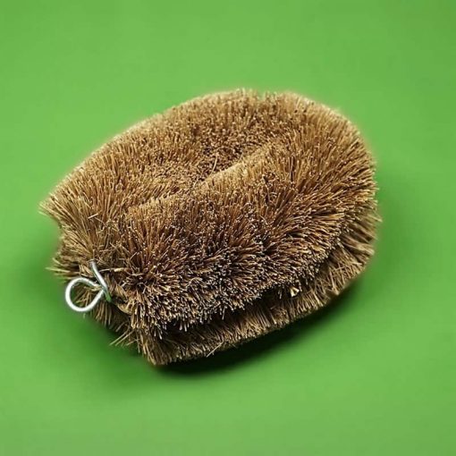 Coconut Tortoise Tawashi Brush