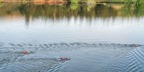 Open water swimming in & around Bristol